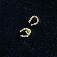 گوشواره بدلیجات