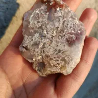 شجر برفی|کلکسیون اشیاء عتیقه|آیسک, |دیوار