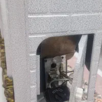 بخاری بهکاران|بخاری، هیتر، شومینه|مشکیندشت, |دیوار