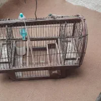 قفس شکاری|لوازم جانبی حیوانات|سنندج, |دیوار