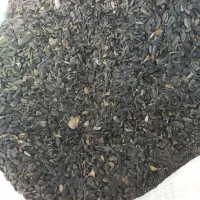 تخمه آفتابگردان روغنی