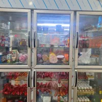 یخچال ویترینی و فریزر صندوقی و کالباس بر