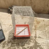 قفس پرنده