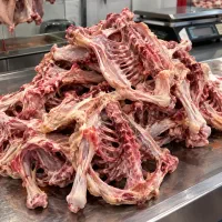 اسکلت مرغ شمال تازه