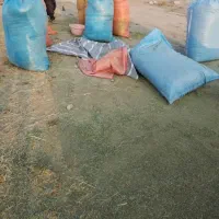 4هار خلوار یونجه حوله شده چنه 5 همه تو شلیت