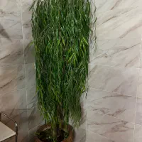 درخت بید مجنون مصنوعی|گل مصنوعی|قم, حنیف نژاد|دیوار