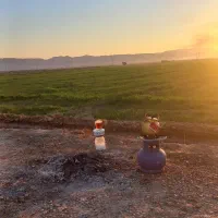 جو جهت کاشت میخوام