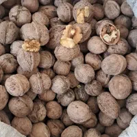 گردو و بادام تحویل درب منزل|خوردنی و آشامیدنی|شاهین‌شهر, شهرک گلدیس|دیوار