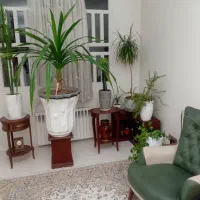 گل پاندانوس