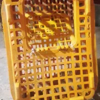 سبد مرغ|لوازم جانبی حیوانات|زاهدان, |دیوار