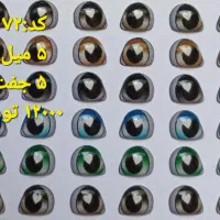چشم های رزینی|صنایع دستی و سایر لوازم تزئینی|رشت, پل تالشان|دیوار