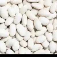 فروش عمده لوبیا