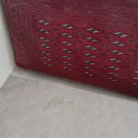 پشتی دستبافت ترکمن|پشتی|مشهد, فرهنگ|دیوار