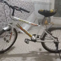 دوچرخه ۲۰ سالم