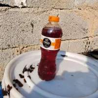 سرکه چوب|خدمات باغبانی و درختکاری|صباشهر, |دیوار