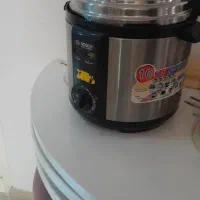 دیگ زود پز برقی بوش