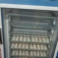 دستگاه جوجه کشی دماوند۵۸۰ تایی