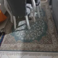 فروش فرش درحدنو کاملا سالم|فرش|شاهینشهر, خانه کارگر|دیوار