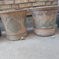 گلدان|گل و گیاه طبیعی|یزد, |دیوار