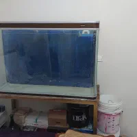 آکواریوم شیشه خم ماهیران بک سامپ|ماهی|قزوین, |دیوار