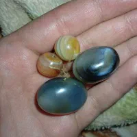 مهره سلیمانی داوودی