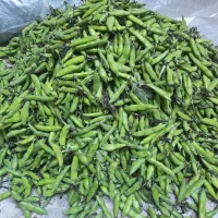 باقله|خوردنی و آشامیدنی|جوانرود, |دیوار