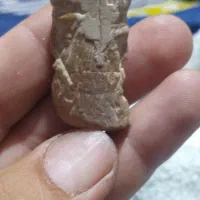 اشیاء عتیقه قدیمی|کلکسیون اشیاء عتیقه|کازرون, |دیوار