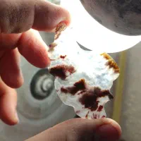 تراش عقیق(آزادشهر فلکه اول )|جواهرات|یزد, |دیوار