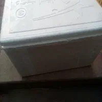 یخدان،پنج تا بخر یکی اشانتیون