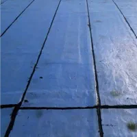 ایزوگام ریسی