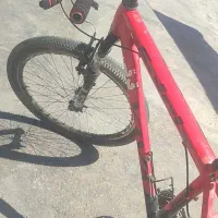 دوچرخه 26ویوا