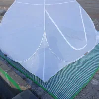 پشه بند ۸ نفره و ۱۲