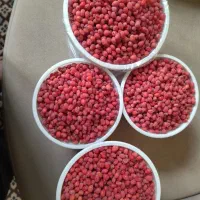 زرشک تازه