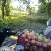 فروش باغچه دور دیوار|فروش خانه و ویلا|مشهد, کارده|دیوار