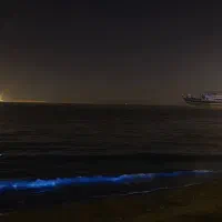 چابهارگردی،تورگردشگری در چابهار زیبا،بکر و دیدنی