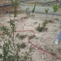 ۲۵۰ متر زمین دماوند