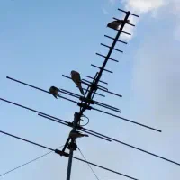 نصب آنتن نصاب ساده گردان تلویزیون براکت شلف