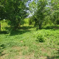 7 هزار متر مناسب ساخت شهرک ویلایی|فروش زمین و ملک کلنگی|لاهیجان, آهندان|دیوار