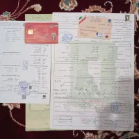 متور برمودا 150|موتورسیکلت|شیراز, داریون|دیوار