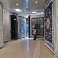 موج ۷۰۰شانه تراکم۲۵۵۰دلفینی طرح سال|فرش|شیراز, قلات|دیوار