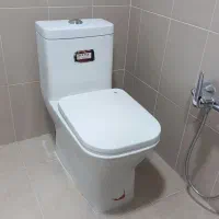 فروش ۳ عدد فرنگی(کارکرده ولی سالم و نو)