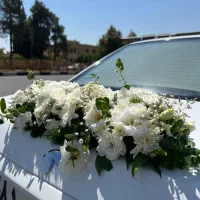 گل ارایی ماشین عروس و دسته گل عروس|خدمات پذیرایی، مراسم|شیراز, قصرالدشت|دیوار