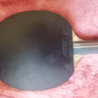 راکت تنیس|ورزش‌های توپی|نیشابور, امین اسلامی|دیوار