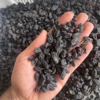 مویز بدون هسته|خوردنی و آشامیدنی|کاشمر, |دیوار