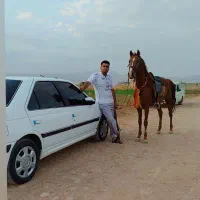اسب|اسب و تجهیزات اسب‌سواری|کوهدشت, |دیوار