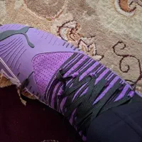 کفش چمنی|تجهیزات ورزشی|زارچ, |دیوار