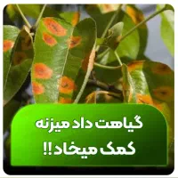 قرص کود ارگانیک بدون مواد شیمیایی/ احیای گلدون هات|گل و گیاه طبیعی|مشهد, سجاد شهر|دیوار