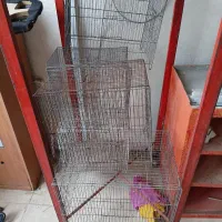 قفس پرنده