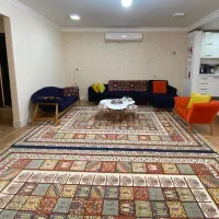 فروش تمیز کارواش شده