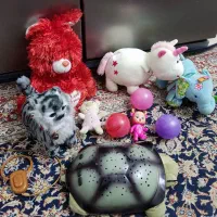 همه باهم فقط چهارصد